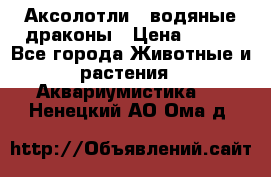 Аксолотли / водяные драконы › Цена ­ 500 - Все города Животные и растения » Аквариумистика   . Ненецкий АО,Ома д.